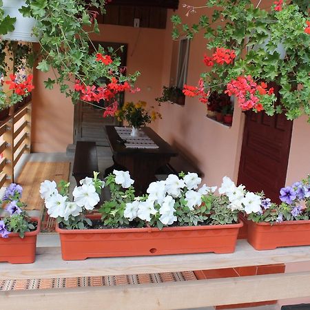 Casa Andreia Villa Gura Humorului Exterior photo